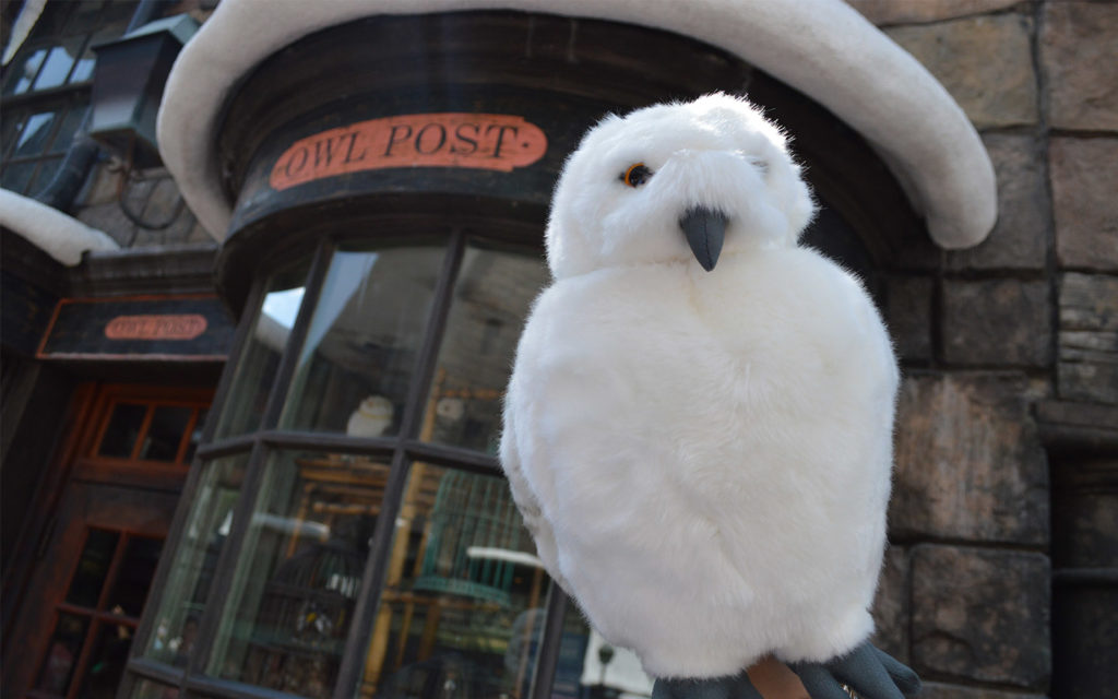 owl-post-2