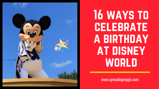 Birthday at Disney World